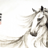 "Лошадь на удачу"  2014г. 33*49 Каллиграфия Юнхуэй Сие